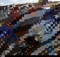 Hunter Valley Resort - Accommodation Sunshine Coast