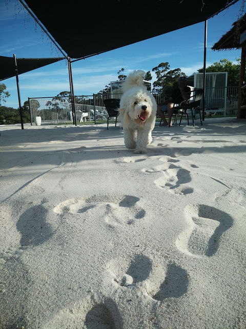 Clare Valley Motel - Accommodation Sunshine Coast 5