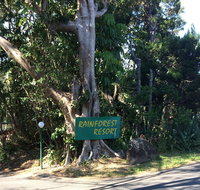 Byron Bay Rainforest Resort - Accommodation Sunshine Coast