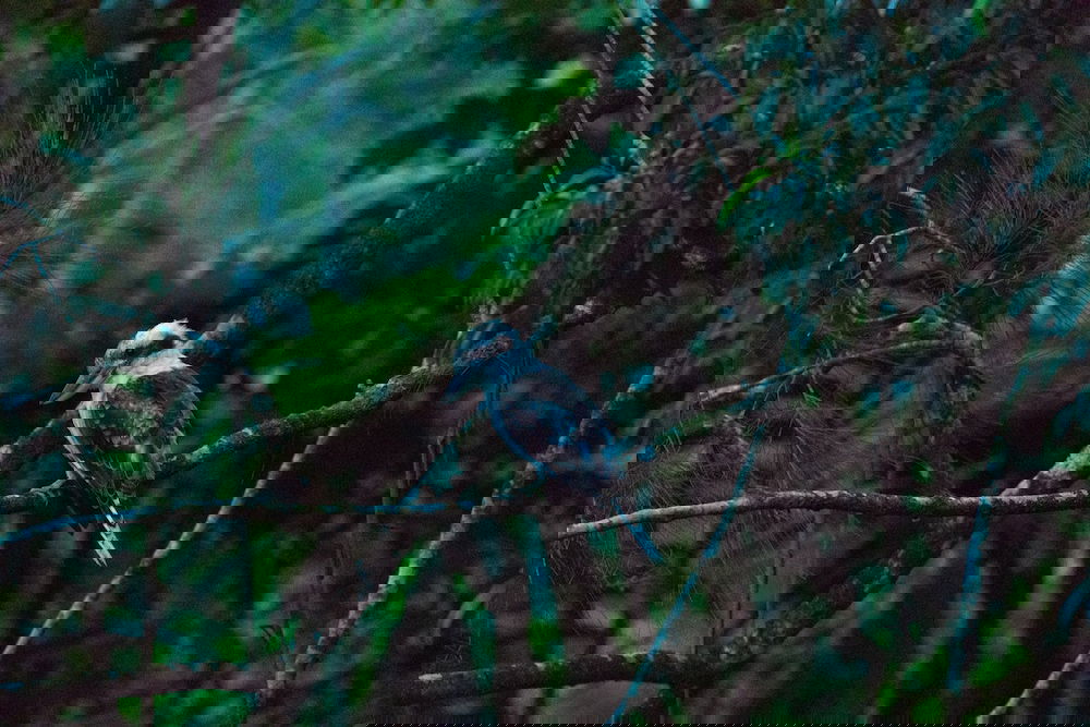  Accommodation Sunshine Coast