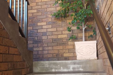 Royal Palms Motor Inn - Accommodation Sunshine Coast 2