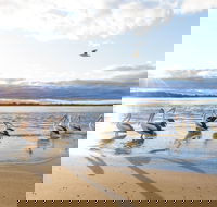 El Paso Motor Inn - Accommodation Sunshine Coast