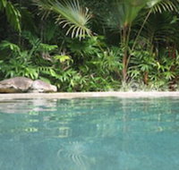 Daintree Rainforest Retreat - Accommodation Sunshine Coast