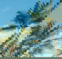 Base Magnetic Island Hostel - Accommodation Sunshine Coast