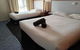 Yarragon Motel - thumb 1