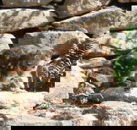 Jenolan Caves House - Accommodation Sunshine Coast