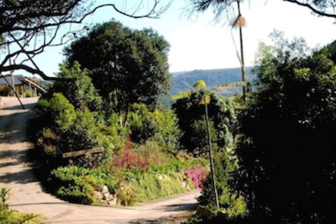 Top Of The Hill - Accommodation Sunshine Coast 3