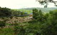 Top Of The Hill - thumb 5