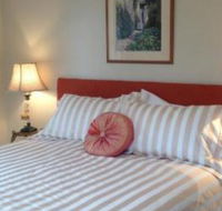 Every Man  His Dog Vineyard - Accommodation Sunshine Coast