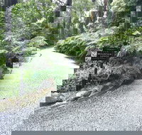 Mountain Lodge - Accommodation Sunshine Coast