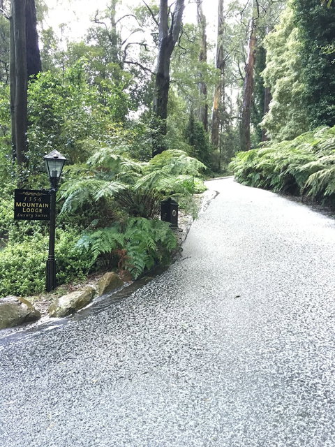 Mountain Lodge - Accommodation Sunshine Coast 0