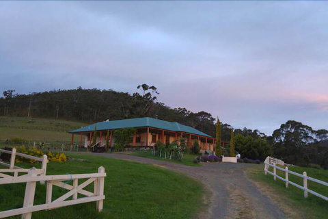 Ambience On Huon B&B - Accommodation Sunshine Coast 3