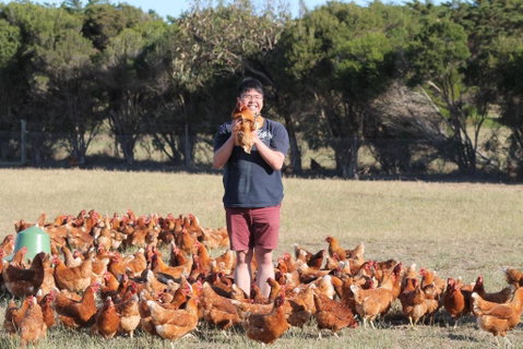 Bimbadeen Phillip Island Farm Retreats - Accommodation Sunshine Coast 4