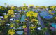 BIG4 Tasman Holiday Parks - South Mission Beach - thumb 0