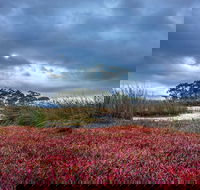 Saintys Creek Cottage - Accommodation Sunshine Coast