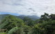 Mossman Gorge Bed & Breakfast - thumb 5
