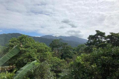 Mossman Gorge Bed & Breakfast - Accommodation Sunshine Coast 5