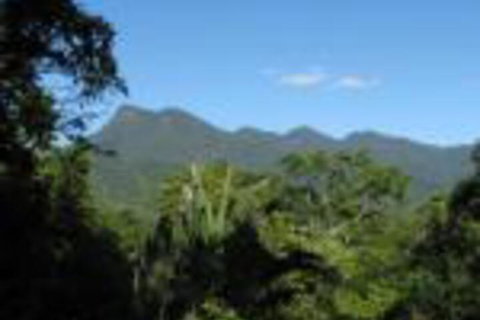 Mossman Gorge Bed & Breakfast - Accommodation Sunshine Coast 0