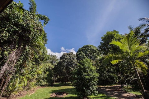 Cape Tribulation Holiday House - Accommodation Sunshine Coast 2
