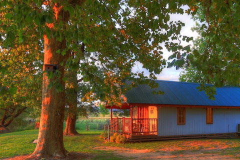 Colac Colac Caravan Park - Accommodation Sunshine Coast 5