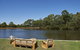 Eight Willows Retreat - thumb 3