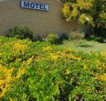 Esk Motel - Accommodation Sunshine Coast