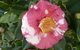 Getaway Inn Boutique Guest House - thumb 2