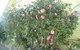 Getaway Inn Boutique Guest House - thumb 1