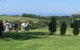 Byron Hinterland Farm Minutes To Everything! - thumb 0