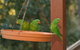 Maleny Country Cottages - thumb 1
