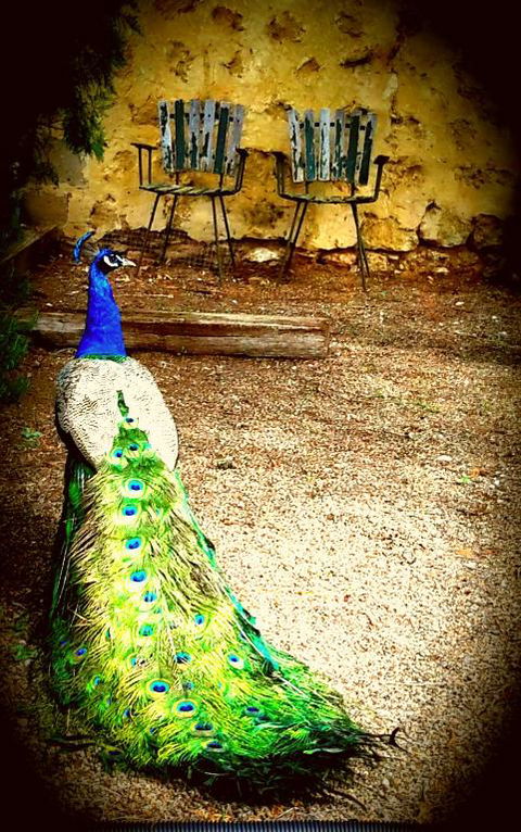 A La Folly - Accommodation Sunshine Coast 4