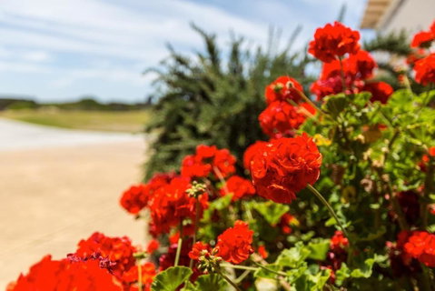 Cottages For Couples - Accommodation Sunshine Coast 2