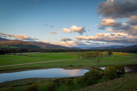 The Red Stag - Accommodation Sunshine Coast 2