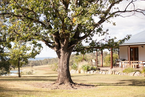 Audrey Wilkinson Vineyard - Accommodation Sunshine Coast 2