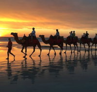 Beach House on Fox - Accommodation Sunshine Coast