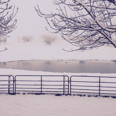 Drayshed Cottage - Accommodation Sunshine Coast 5