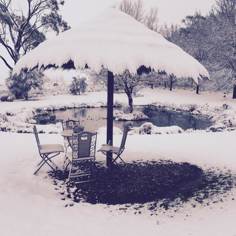 Drayshed Cottage - Accommodation Sunshine Coast 6