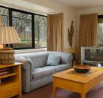 Discobolus 2 - Accommodation Sunshine Coast