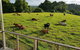 Seasons Of Maleny B&B - thumb 2