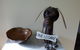 Bridgewater Dognme...furkid & Family Friendly... - thumb 3