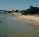 Black Dolphin Waterfront Apartment - Accommodation Sunshine Coast