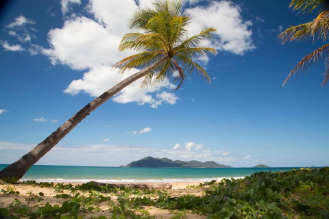7 McNamara Wongaling Beach - Accommodation Sunshine Coast 5