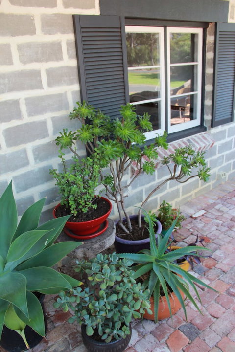 Bakehouse '38 Restaurant & Guesthouse - Accommodation Sunshine Coast 2