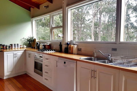 Eaglehawk Rainforest Retreat - Accommodation Sunshine Coast 3