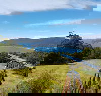 Eaglehawk Rainforest Retreat - Accommodation Sunshine Coast