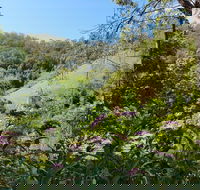 Copeland Manse - Accommodation Sunshine Coast