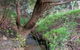 Longwood Retreat - thumb 0