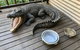Kimberley Travellers Lodge - Hostel - thumb 4