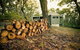 Cape Otway Cottages - thumb 0