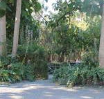 Avoca Park - Accommodation Sunshine Coast